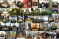 Thumbnail for version as of 23:54, 25 June 2026