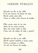 Poema-jardim-publico-Antonio-Pereira.jpg